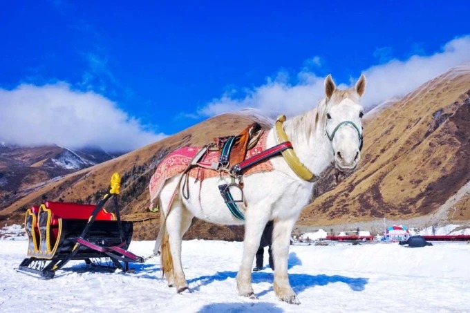 Zhegushanの雪原で馬ぞり