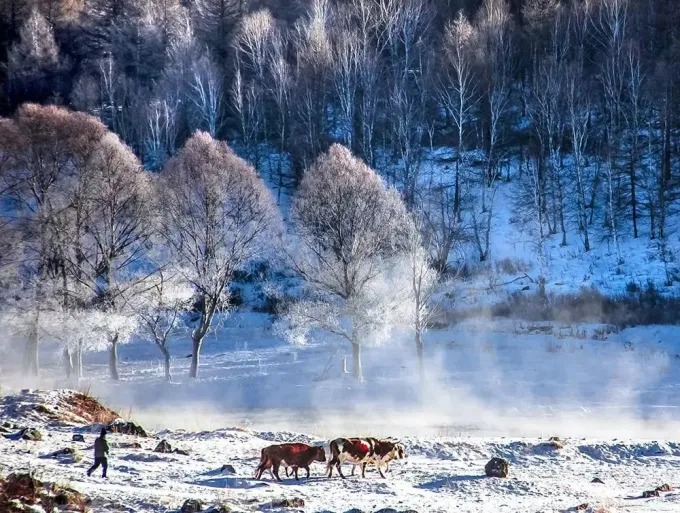 Steam rising from the unfrozen river in winter