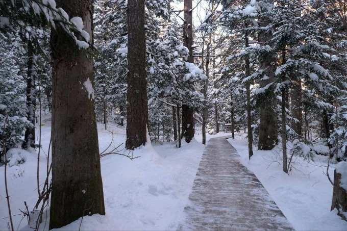 Verschneiter Holzsteg durch Changbaishans Wald