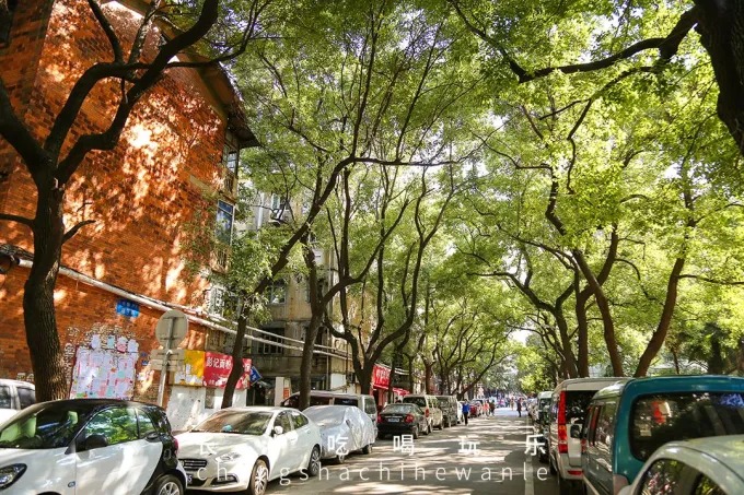 Calle residencial arbolada en la zona de Shuguang Road