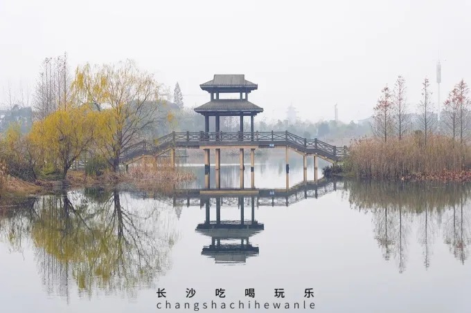 Pavillon und Brücke spiegeln sich im Yanghu-Park