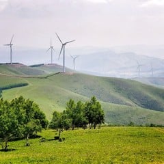 Bosque y pradera en la zona de Qiansongba