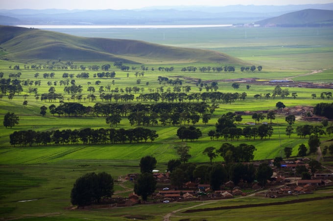 Pradera abierta con árboles dispersos en Fengning Bashang