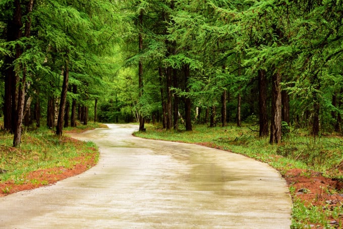 Paisaje forestal en el Parque Nacional del Bosque de Qiansongba