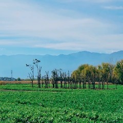 Margem e árvores no Parque Ecológico Haitang