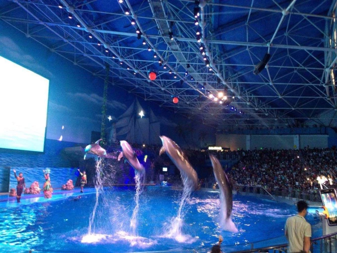 Aquarium display in Dalian
