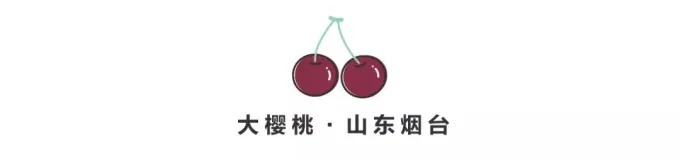 軸付きの濃赤色のサクランボ