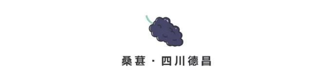 浅い容器に入った新鮮なマルベリー