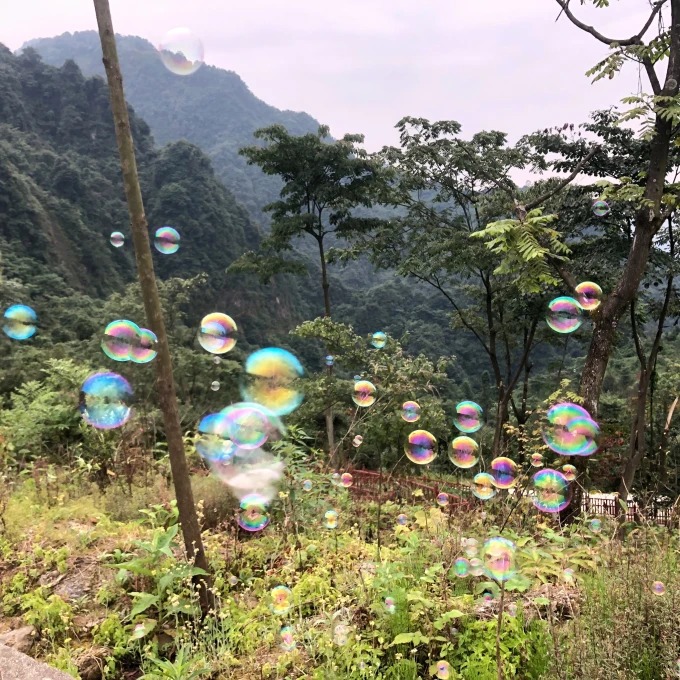 Hiking path through forest on Zhao Gong Shan