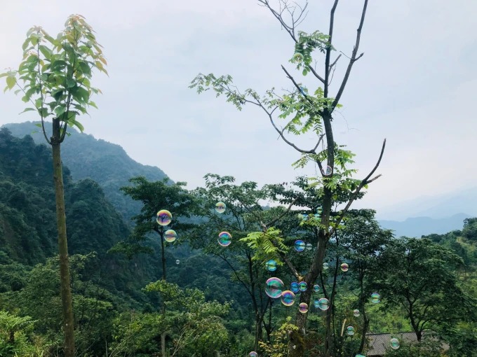 Trail surface on Zhao Gong Shan