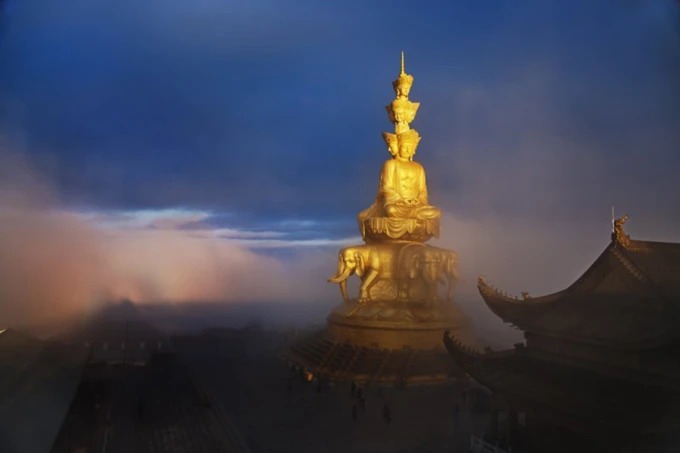 万仏頂周辺の上部の森