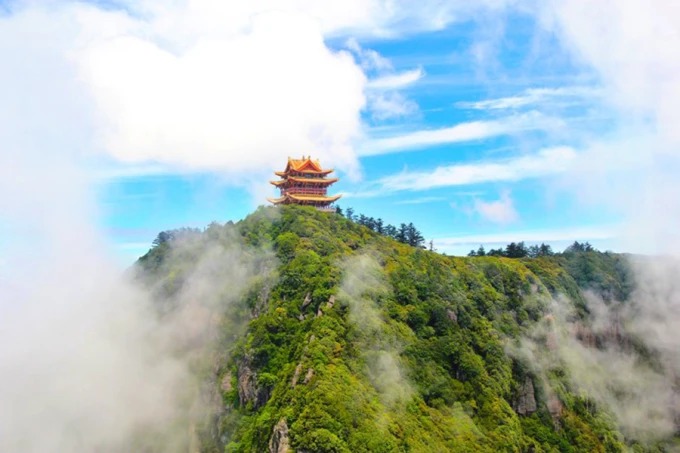 万仏頂周辺の高地の森と登山道
