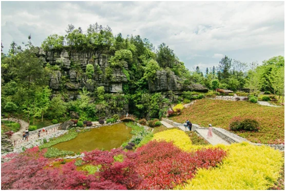 Flowering hillside in Enshi in spring