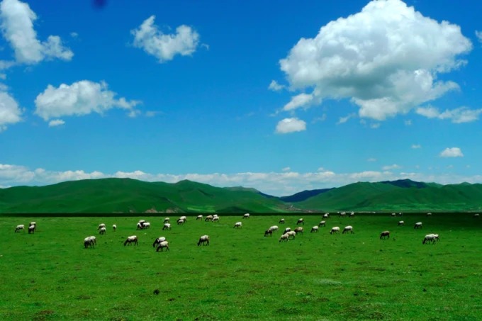 Offenes Grasland und ferne Hügel in Gannan