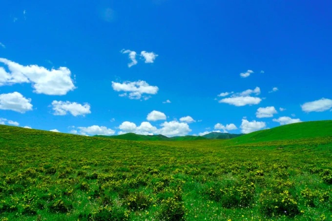 Road crossing open grassland in Gannan