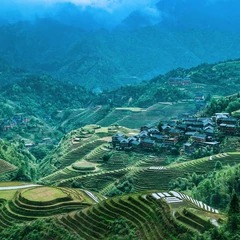 Terrassenfelder in Longji
