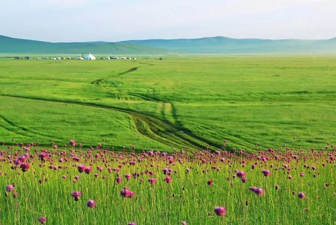 Vista aérea de praderas y curvas de río en Hulunbuir