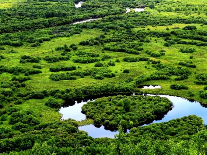 Erguna Wetland with river channels and marsh