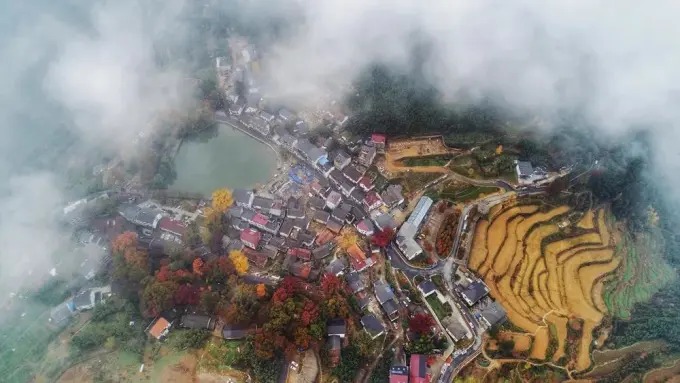 Ginkgo and autumn colour in Zhinan Village, Lin'an
