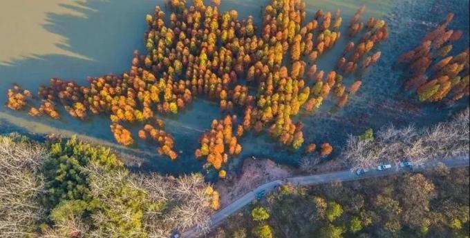 Herbstlaub in den Hügeln von Jiangsu und Zhejiang