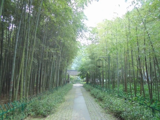 Un salon de thé près des plantations de thé de Meijiawu
