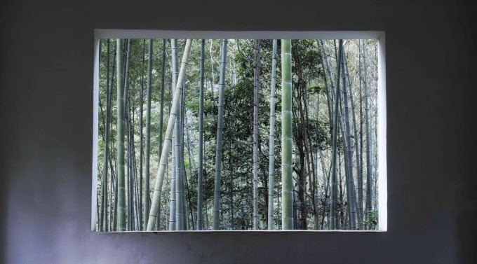 Un pavillon le long du sentier de bambous à Yunqi