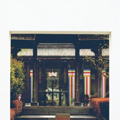 Bâtiments traditionnels et arbres à l’Académie bouddhiste de Hangzhou