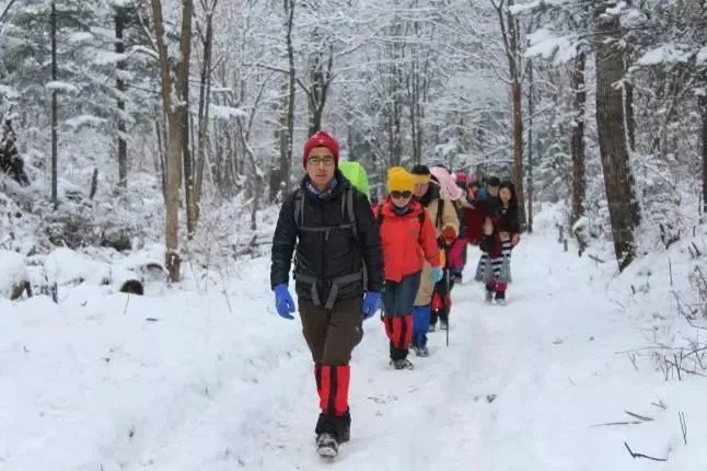 Árboles cubiertos de escarcha junto a un río invernal