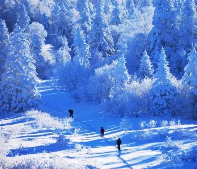 Schneebedeckte Winterlandschaft in Nordostchina