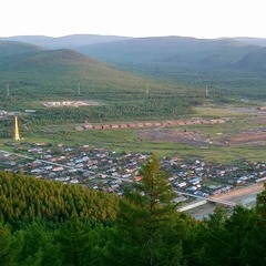 莫爾道嘎周辺の森の丘