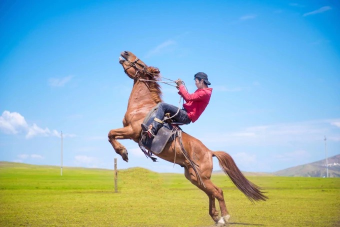 Offene Steppe unter weitem Himmel in Hulunbuir