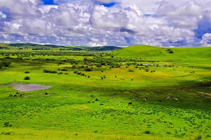 Grassland viewed from a hill at Heishantou