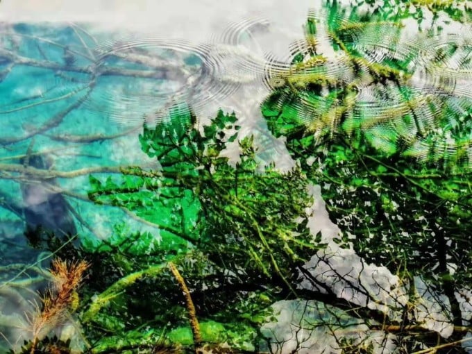Eau limpide d’un lac à Jiuzhaigou