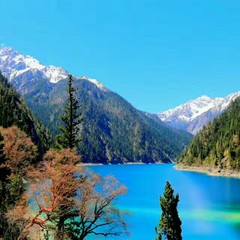 Paysage de forêt et de montagne dans la région de Jiuzhaigou