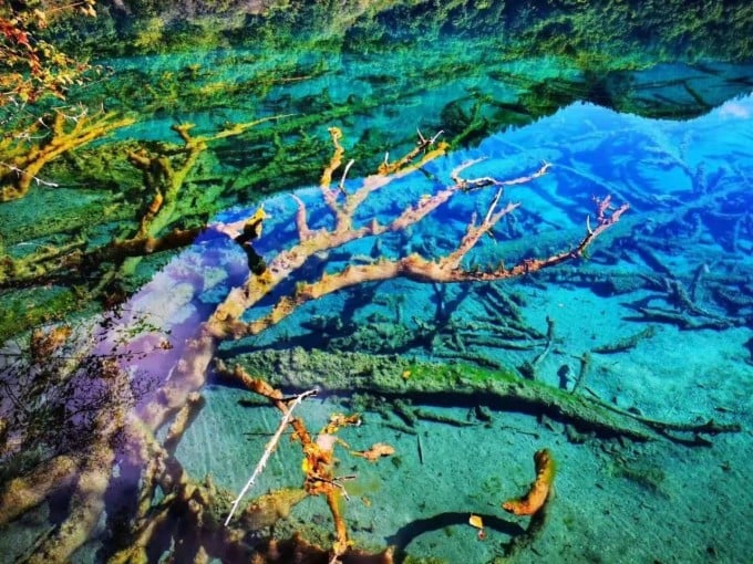 Seen und bewaldete Berge in Jiuzhaigou