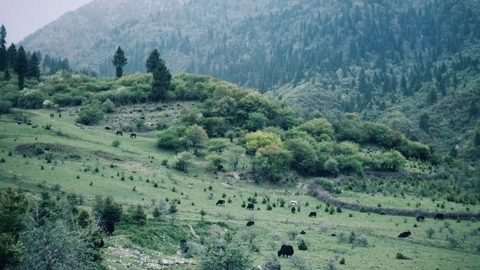 Dorfkulisse im tibetischen Stil bei Jiuzhaigou