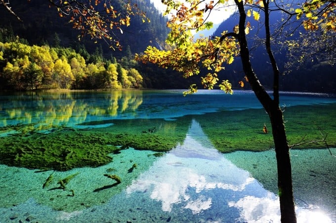 See und Wald im Rize-Tal von Jiuzhaigou