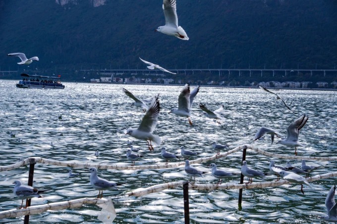 Orilla del lago Dianchi cerca de Kunming