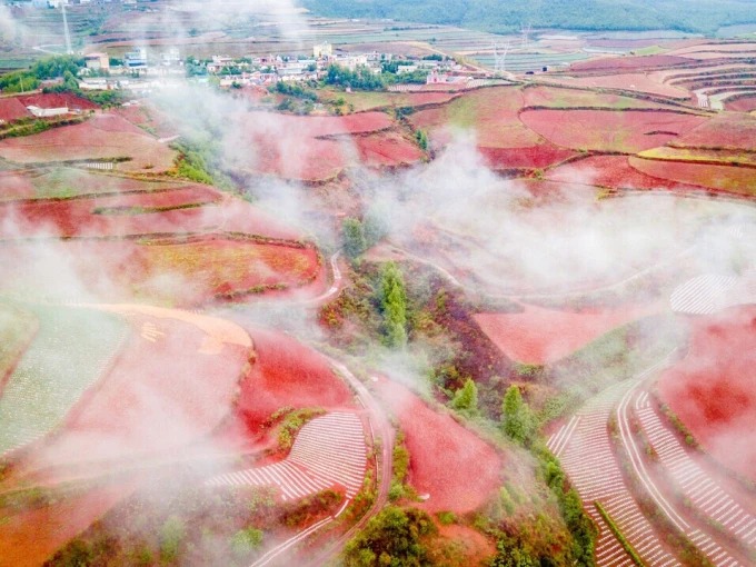 Campos de tierra roja en Dongchuan