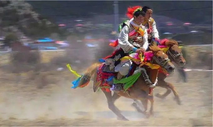 티베트 신년 축하의 경마