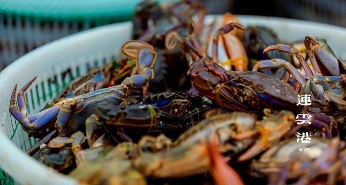 Fresh crabs at Yangshan Island