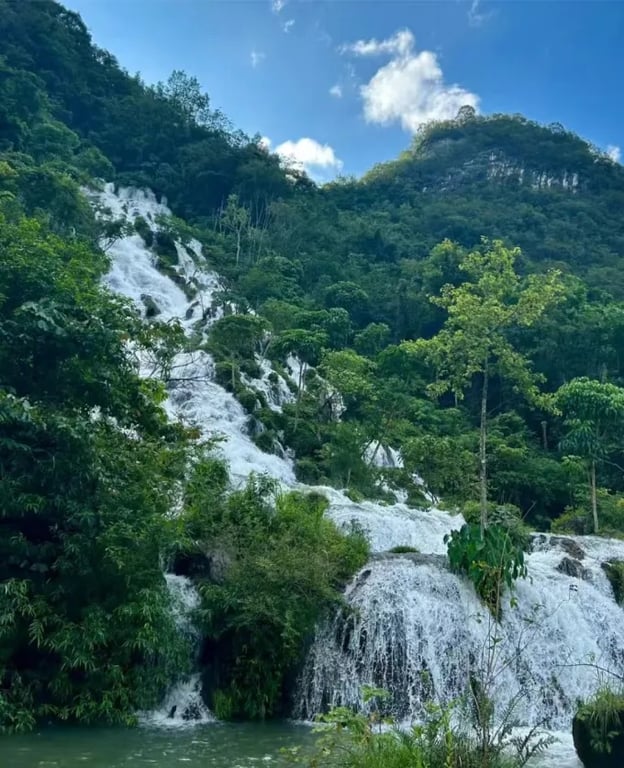 Wooded scenery in Libo's Xiaoqikong area