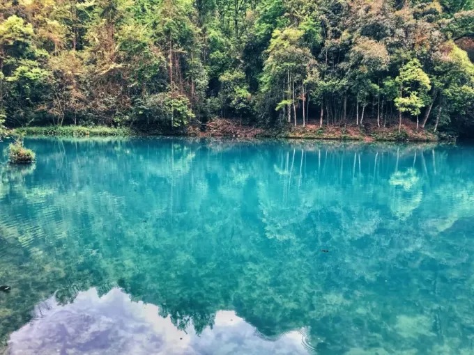 Estanque de Wolong con agua azul verdosa y orillas boscosas