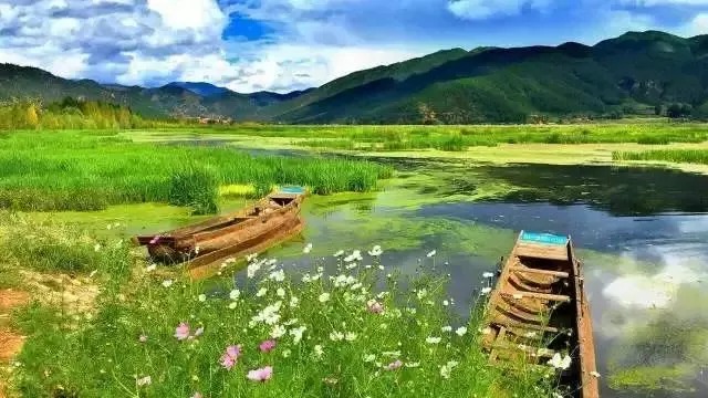 Reed beds and open water at Lugu Lake