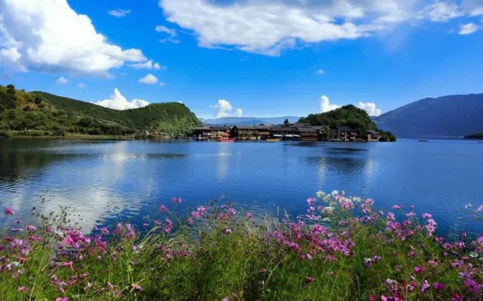 Lover Trees reflected in Lugu Lake