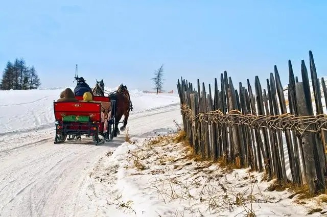 Pferdeschlitten auf einer verschneiten Spur