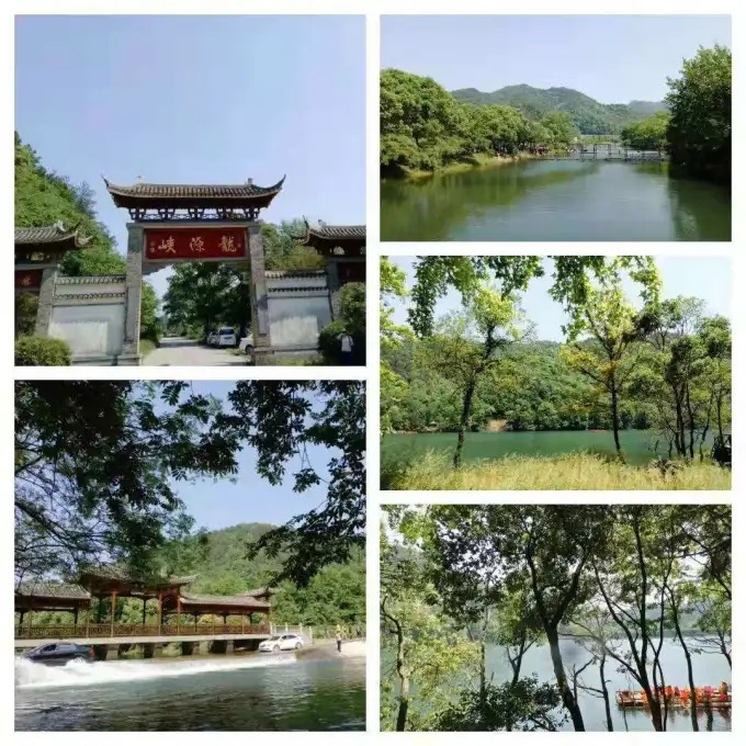 Paysages d’eau et de forêt à Longyuanxia