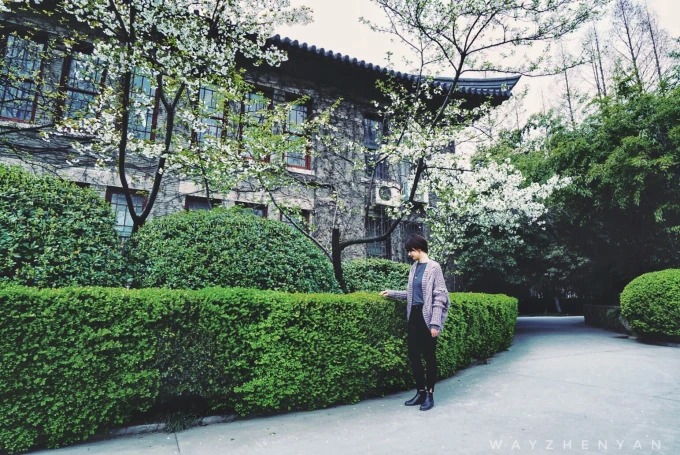 Trees and campus buildings at Nanjing University Gulou campus