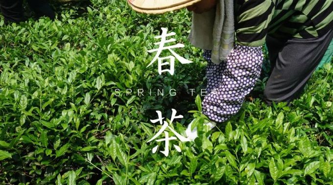 Tea by the water in Nanxun