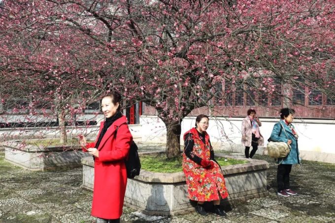 Greenery and flowers in Nanxun